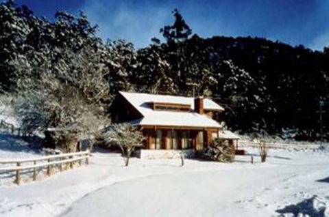 Pender Lea Alpine Guest Accommodation - Tweed Heads Accommodation 1