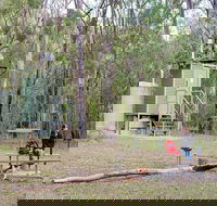 Ten Mile Hollow campground - Tweed Heads Accommodation