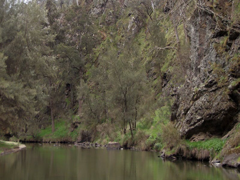 Paling Yards NSW Tweed Heads Accommodation