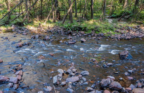 Toorooroo Campground - Tweed Heads Accommodation 0