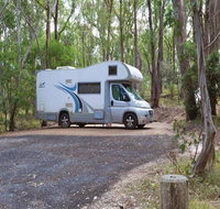Wollomombi campground - Tweed Heads Accommodation