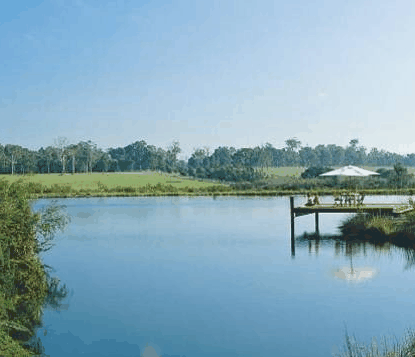 Forest Rise Eco Retreat - Tweed Heads Accommodation