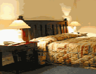 Comfort Inn Treetop Walk - Tweed Heads Accommodation