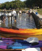 Turner Caravan Park - Tweed Heads Accommodation 1