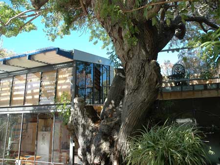 The Painted Fish - Tweed Heads Accommodation 3