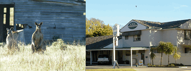 Acacia Motor Inn - Tweed Heads Accommodation 5
