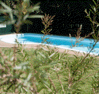 Alluna Motel - Tweed Heads Accommodation
