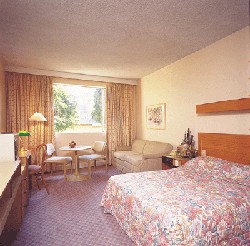 Country Comfort Armidale - Tweed Heads Accommodation 3