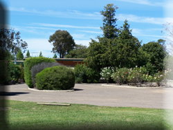 Rose Villa Motel - Tweed Heads Accommodation 1