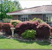 Creature Comforts - Tweed Heads Accommodation