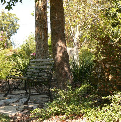 Ashby Cottage - Tweed Heads Accommodation 3