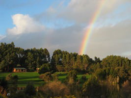 Pemberton Lavender And Berry Farm Cafe And Cottages - Tweed Heads Accommodation 3