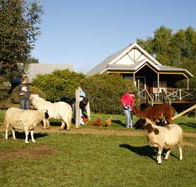 Sunnyhurst Chalets - Tweed Heads Accommodation