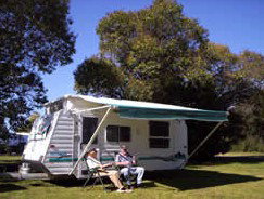 Bega Caravan Park - Tweed Heads Accommodation 1