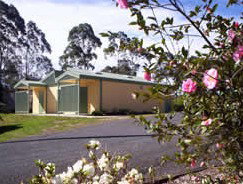 Bega Caravan Park - Tweed Heads Accommodation 5