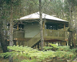 Possums Hideaway - Tweed Heads Accommodation 0