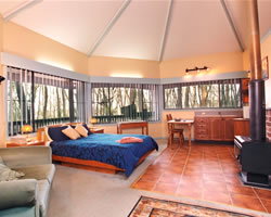 Possums Hideaway - Tweed Heads Accommodation 1