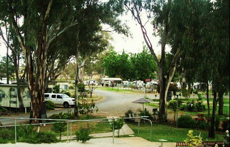Buronga Riverside Tourist Park - Tweed Heads Accommodation 4