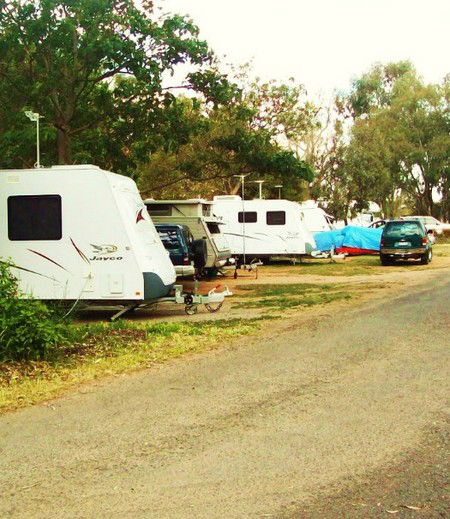 Buronga Riverside Tourist Park - Tweed Heads Accommodation 5