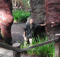 Walpole Lodge - Tweed Heads Accommodation