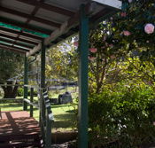 Bow River Cottage - Tweed Heads Accommodation