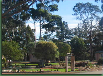 Kalgan River Chalets And Caravan Park - Tweed Heads Accommodation 0