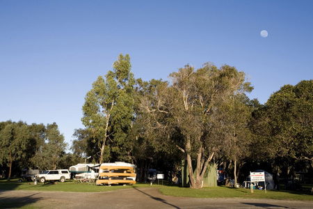 Molloy Caravan Park - Tweed Heads Accommodation 1