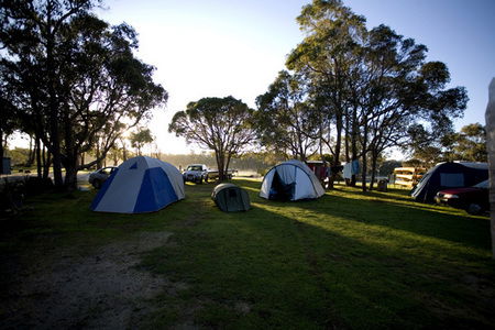 Molloy Caravan Park - Tweed Heads Accommodation 2