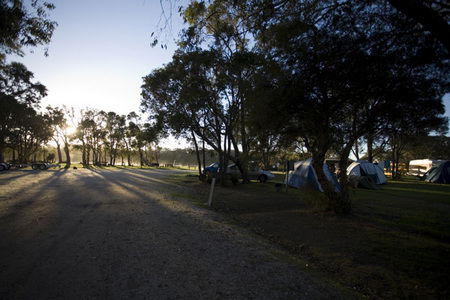Molloy Caravan Park - Tweed Heads Accommodation 3