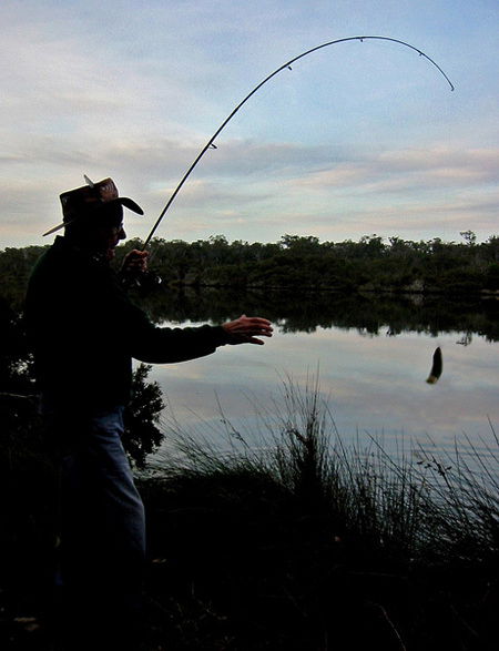 Molloy Caravan Park - Tweed Heads Accommodation 5