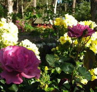 Ford House Retreat - Tweed Heads Accommodation