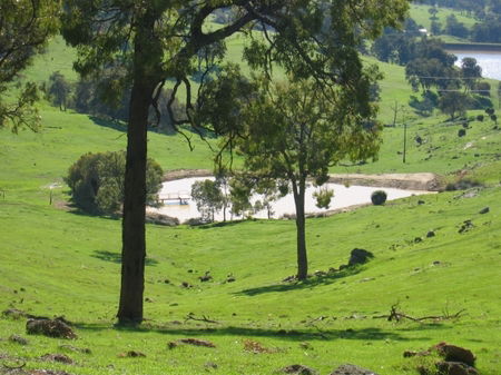 Vista Ridge Estate - Top Paddock Cottage - Tweed Heads Accommodation 3