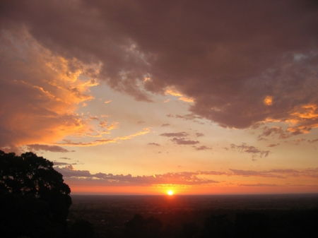 Vista Ridge Estate - Top Paddock Cottage - Tweed Heads Accommodation 5