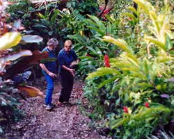 Milkwood Lodge - Tweed Heads Accommodation 1