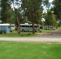 Harvey Rainbow Caravan Park - Tweed Heads Accommodation