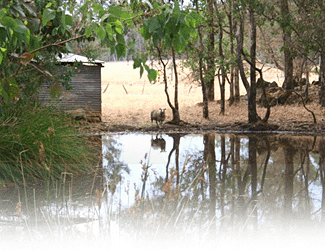 Cambray Cottages - Tweed Heads Accommodation 3