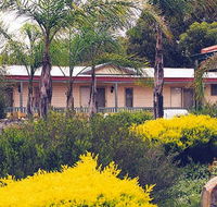 Discovery Holiday Parks - Kalgoorlie - Tweed Heads Accommodation
