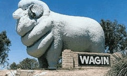 Wagin Motel - Tweed Heads Accommodation