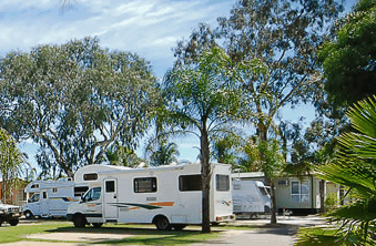 Perth Central Caravan Park - Tweed Heads Accommodation 2