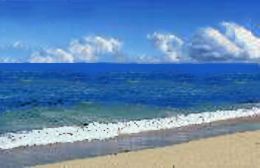 Cervantes Pinnacles Beachfront Caravan Park - Tweed Heads Accommodation 2