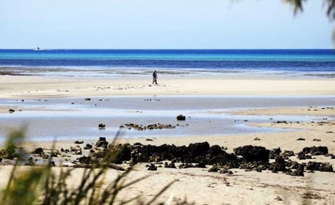 Halcyon Bay - Tweed Heads Accommodation 5