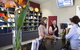 Adina Vineyard & Olive Grove - thumb 2