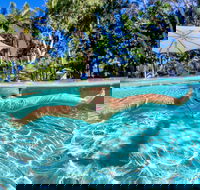 BIG4 Ballina Headlands Holiday Park - Tweed Heads Accommodation