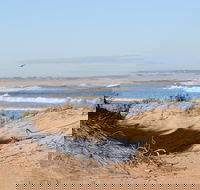 Chadinga Conservation Park Campground - Tweed Heads Accommodation