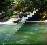 Daintree Secrets Rainforest Sanctuary - Tweed Heads Accommodation