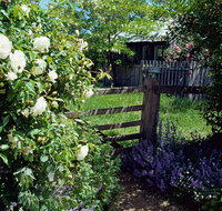 Hamilton's Cottage Collection and Country Gardens - Edwards