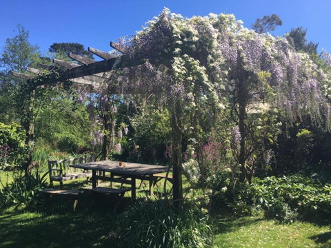 Hawthorne Cottage: Blackheath - Tweed Heads Accommodation 2
