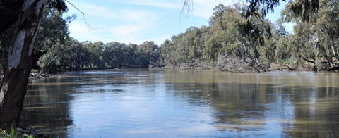 Hay Caravan Park - Tweed Heads Accommodation 0