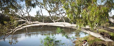 Hay Caravan Park - Tweed Heads Accommodation 1