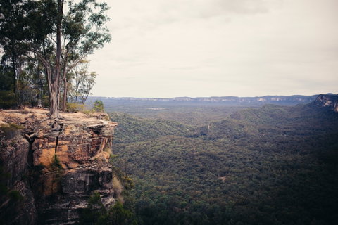 Sandstone Park Carnarvon Gorge - Tweed Heads Accommodation 1